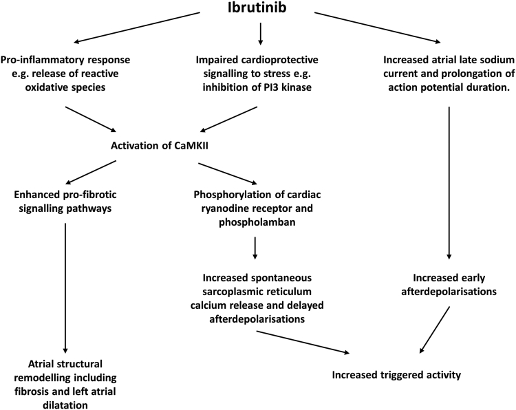 Figure 3