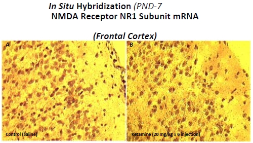 Fig. (2)