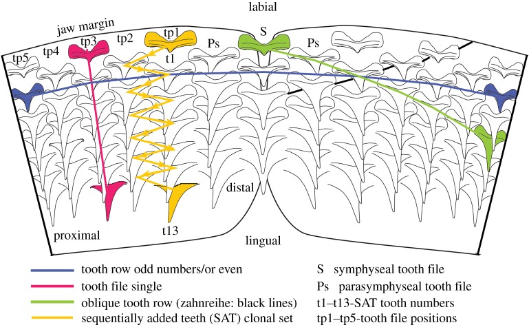 Figure 3.