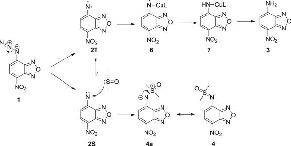 Scheme 3