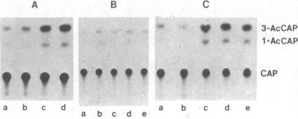 graphic file with name pnas00322-0162-a.jpg