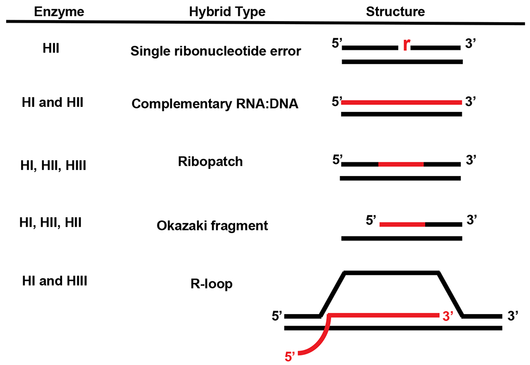 graphic file with name nihms-1836951-t0004.jpg