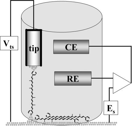 Fig. 1.