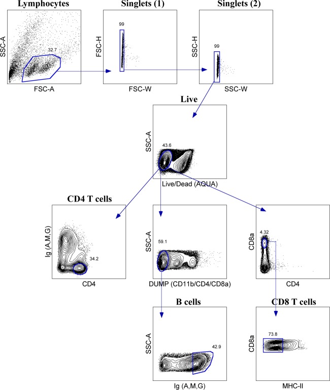 FIG 4