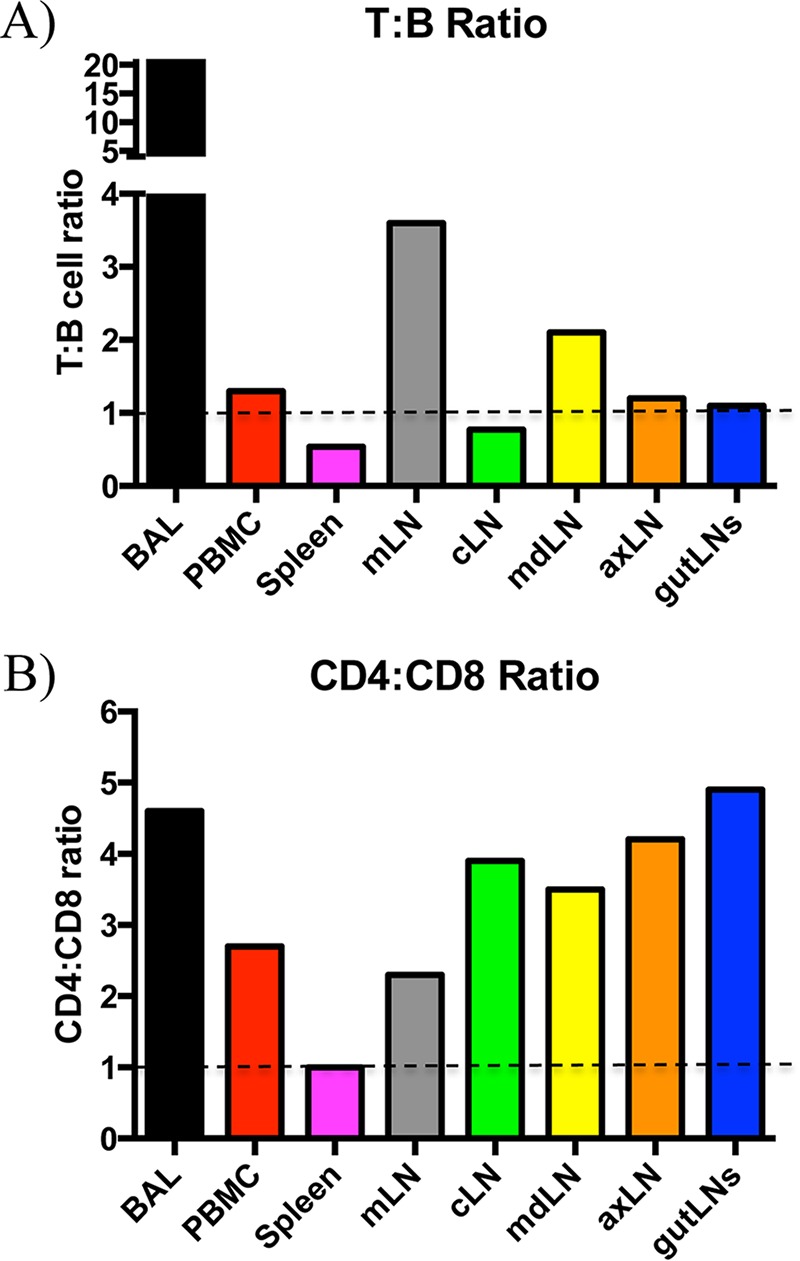 FIG 2