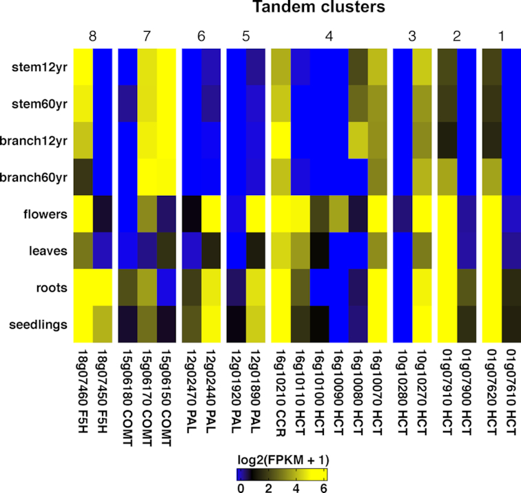 Figure 3: