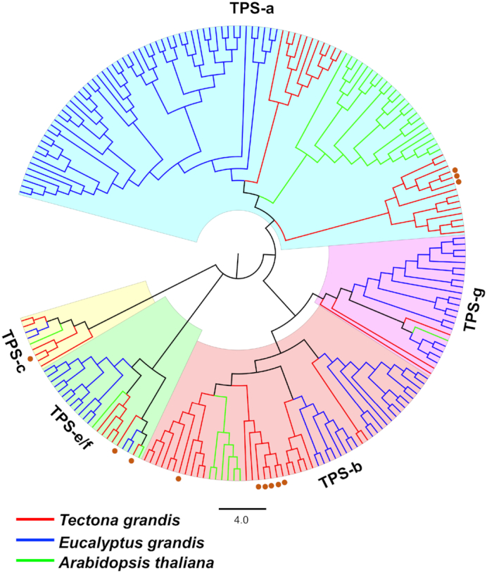 Figure 4: