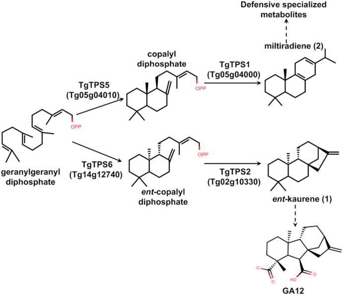 Figure 5: