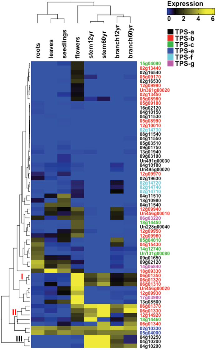 Figure 6: