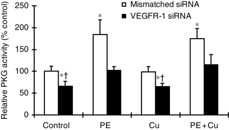 Figure 6