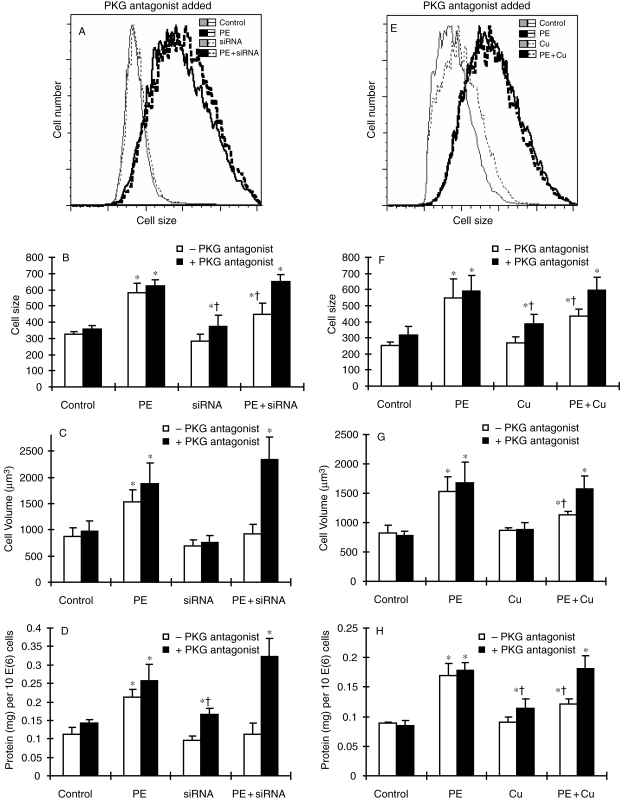 Figure 7