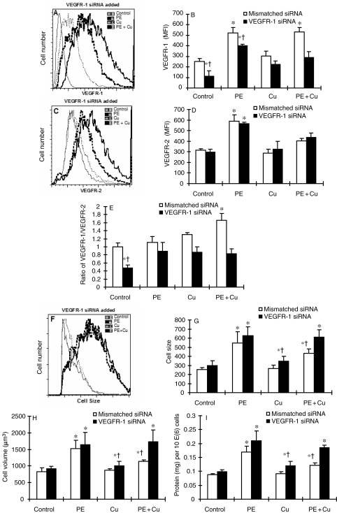 Figure 5