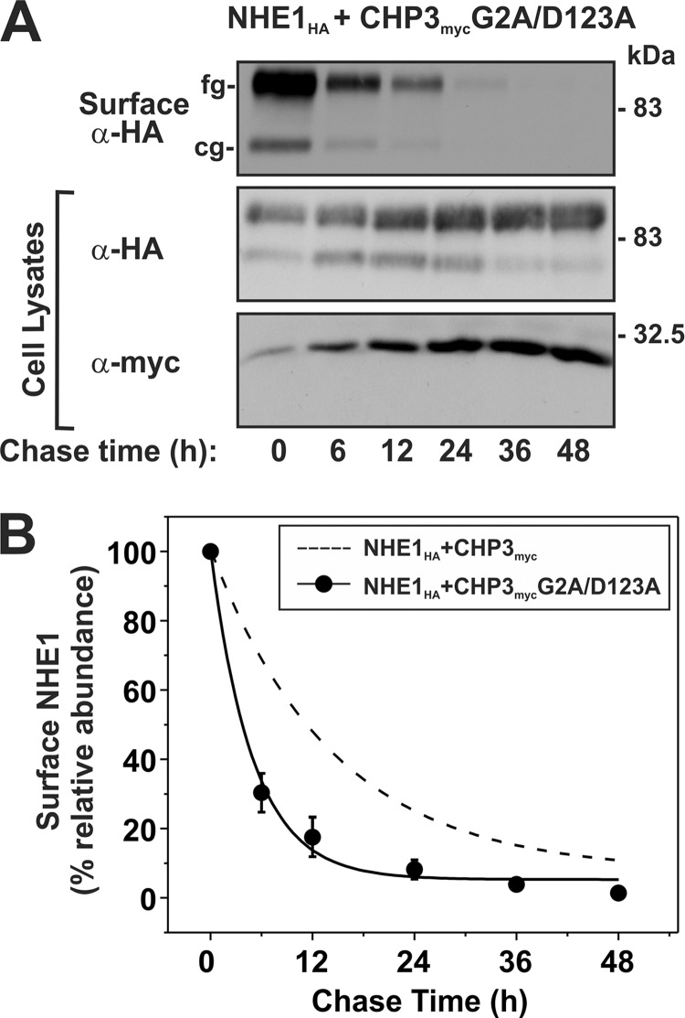 FIGURE 10.