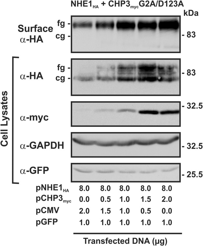 FIGURE 9.