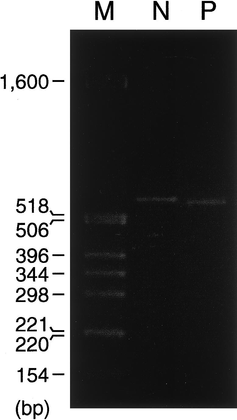 Figure  4