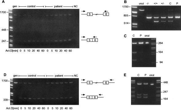 Figure  5