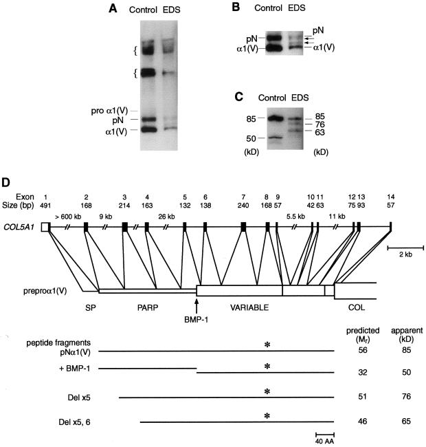 Figure  7