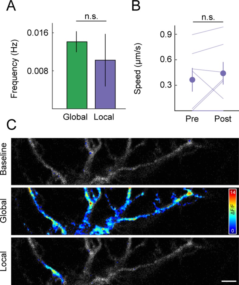 Figure 4—figure supplement 2.