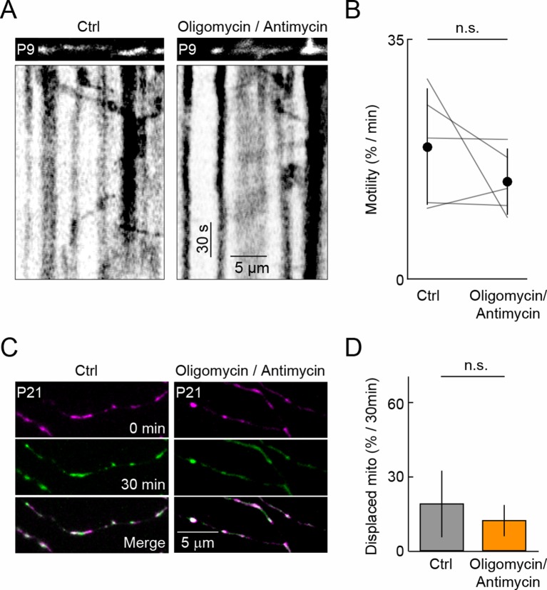 Figure 5—figure supplement 1.