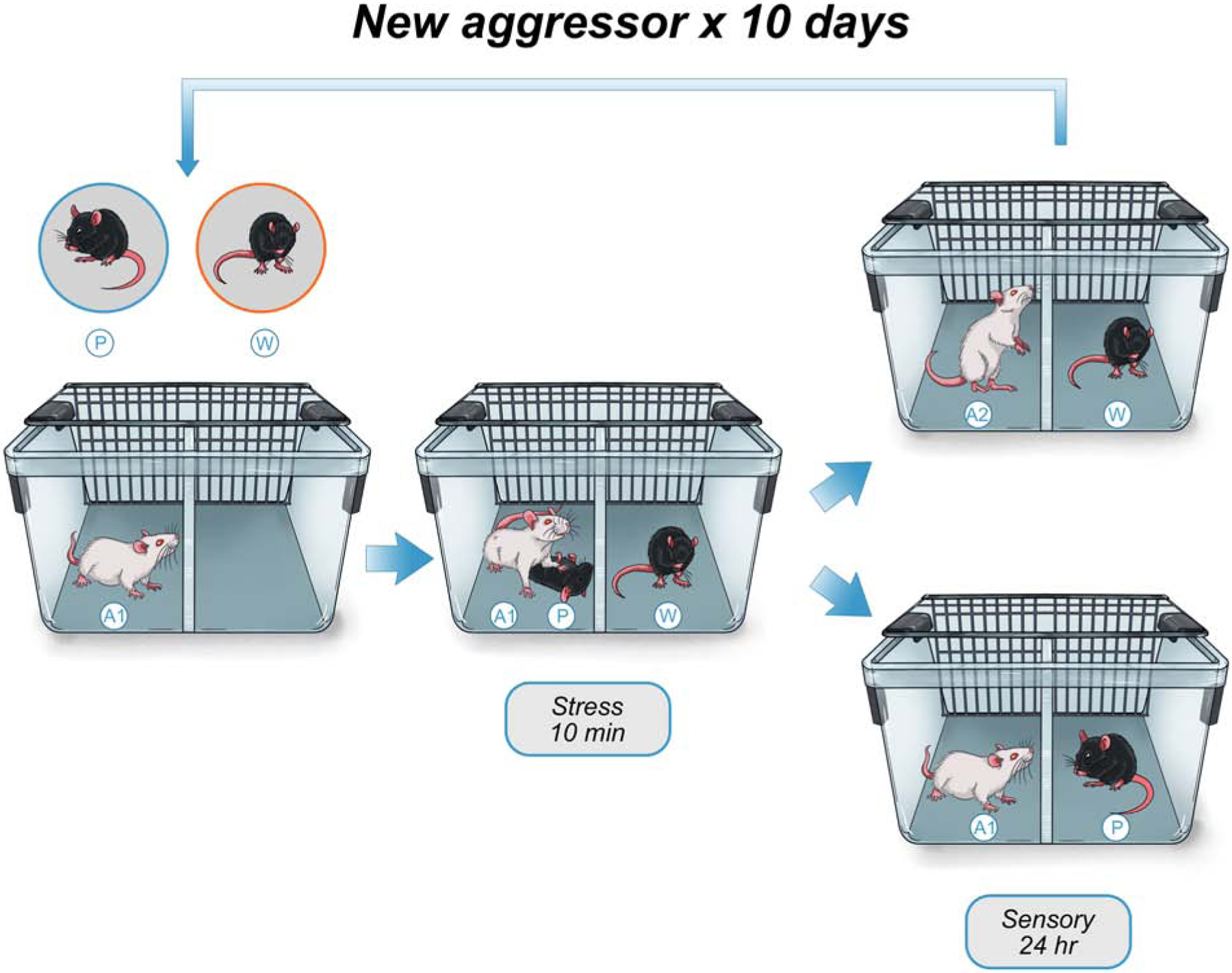 Figure 1: