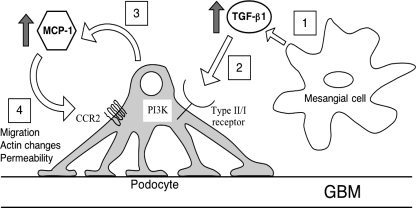 Fig. 8.