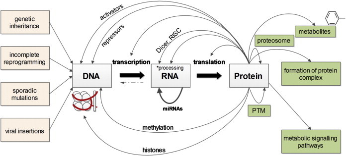 Fig. 1