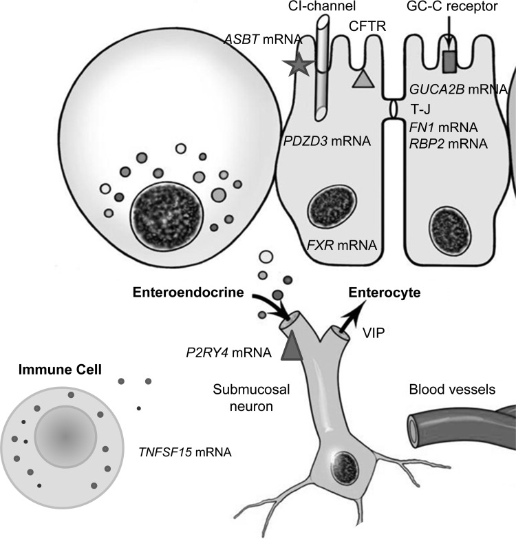 Fig. 3.