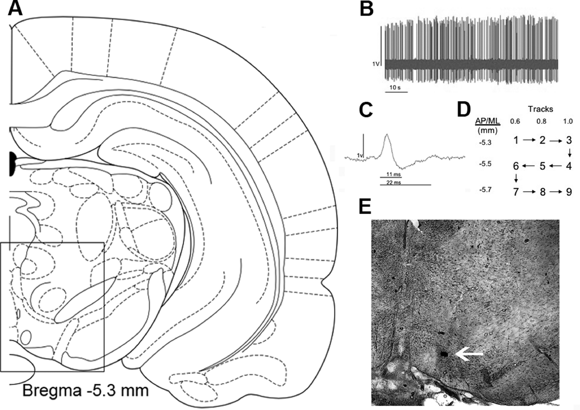 Figure 2.