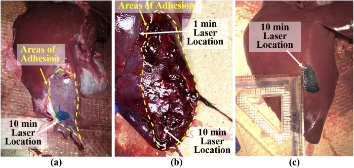 Fig. 6.