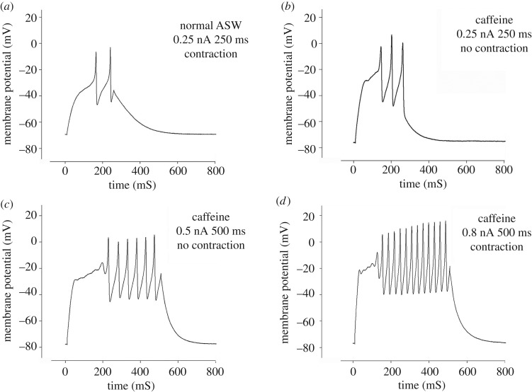 Figure 7.