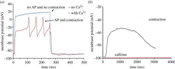 Figure 6.