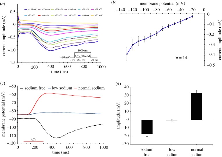 Figure 4.