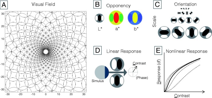 Figure 2.