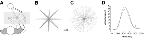 Fig. 1.