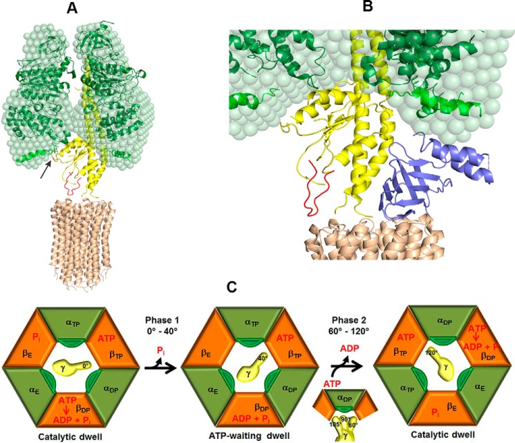 Figure 9.