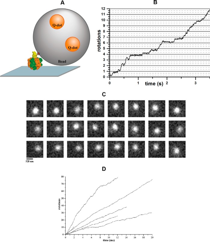 Figure 4.