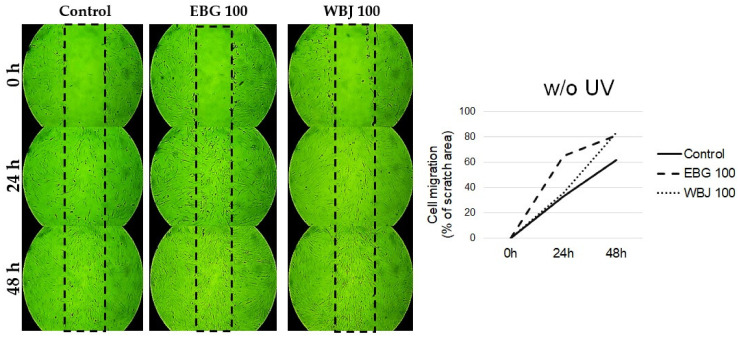 Figure 11