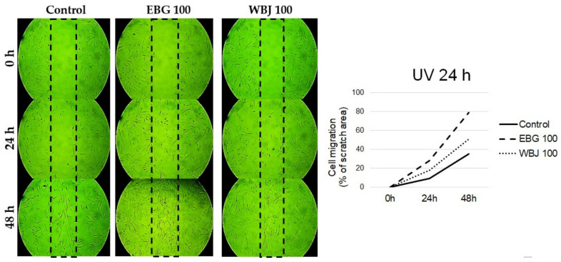 Figure 12