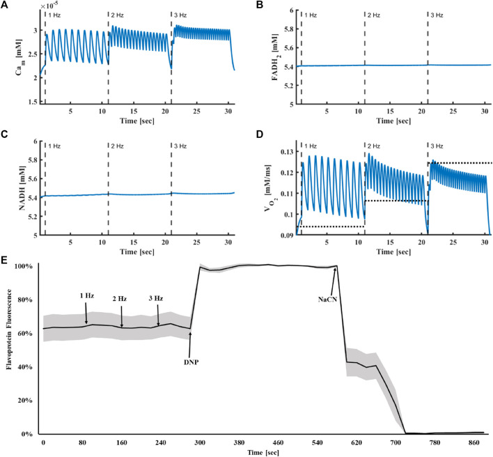 FIGURE 4