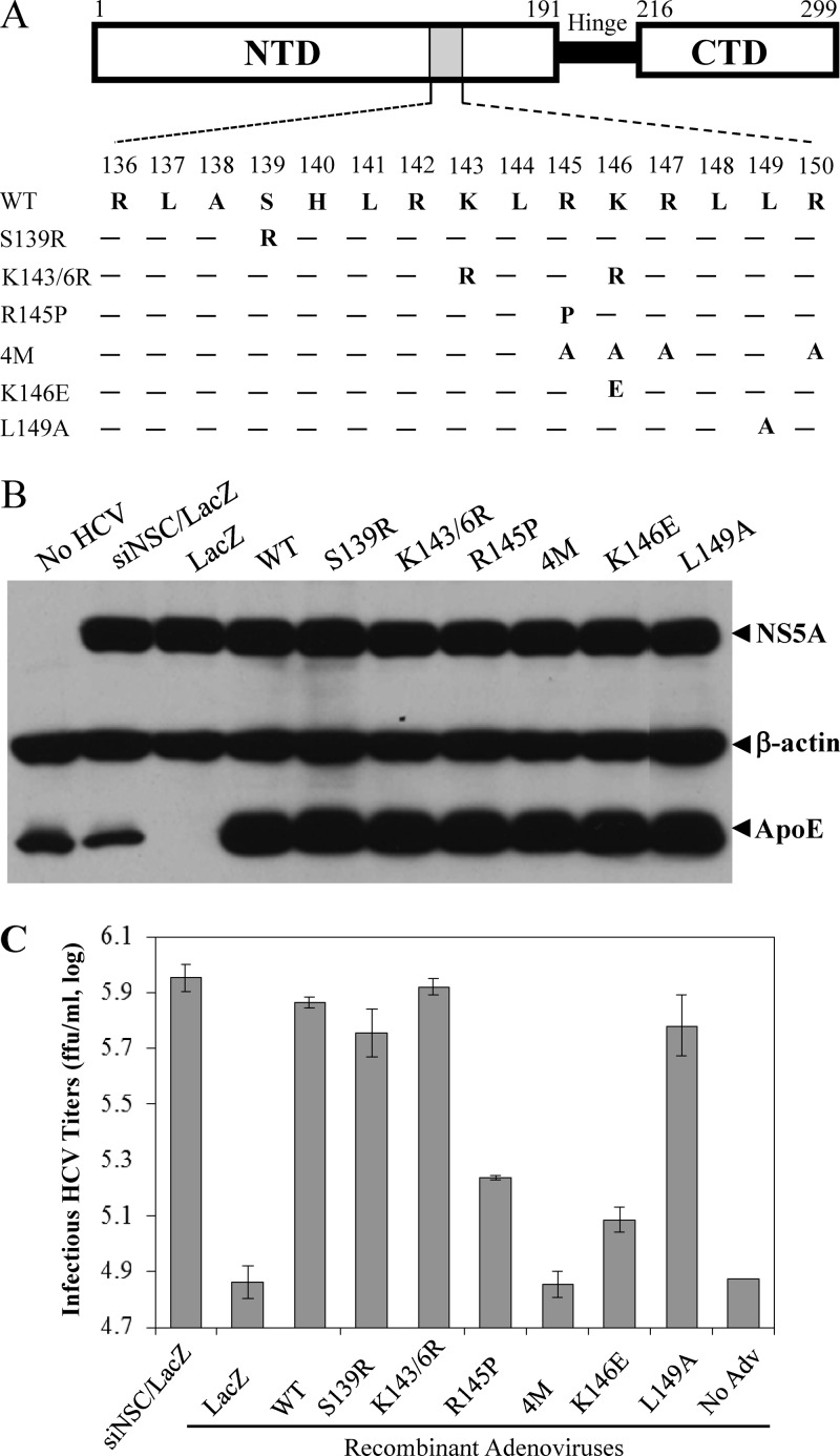 Fig 7