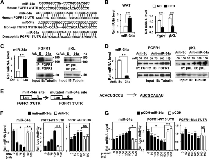 FIG 6