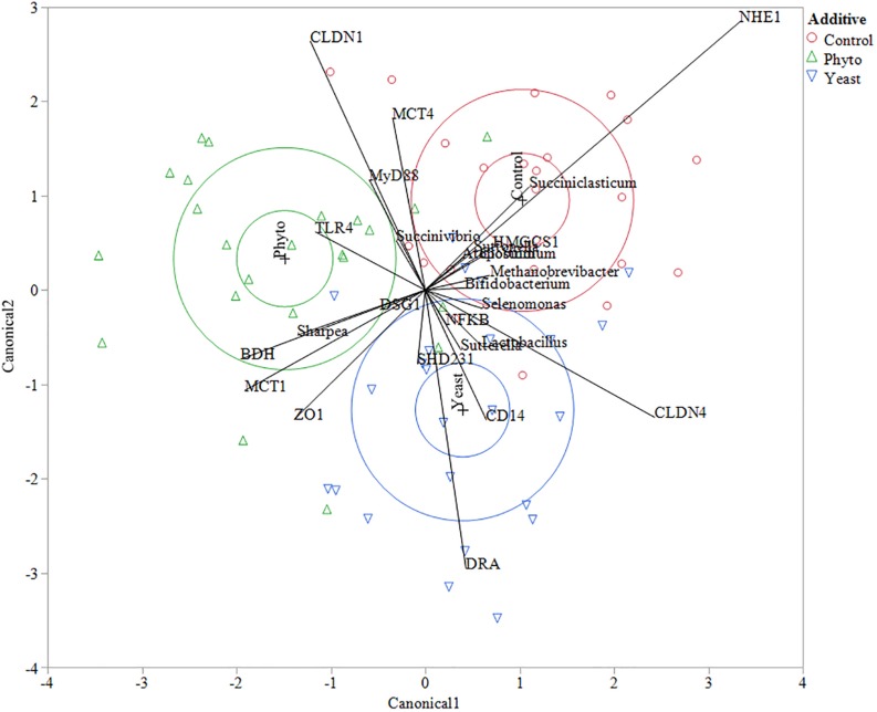 FIGURE 3