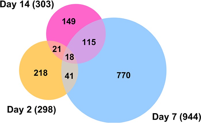 FIG 3 