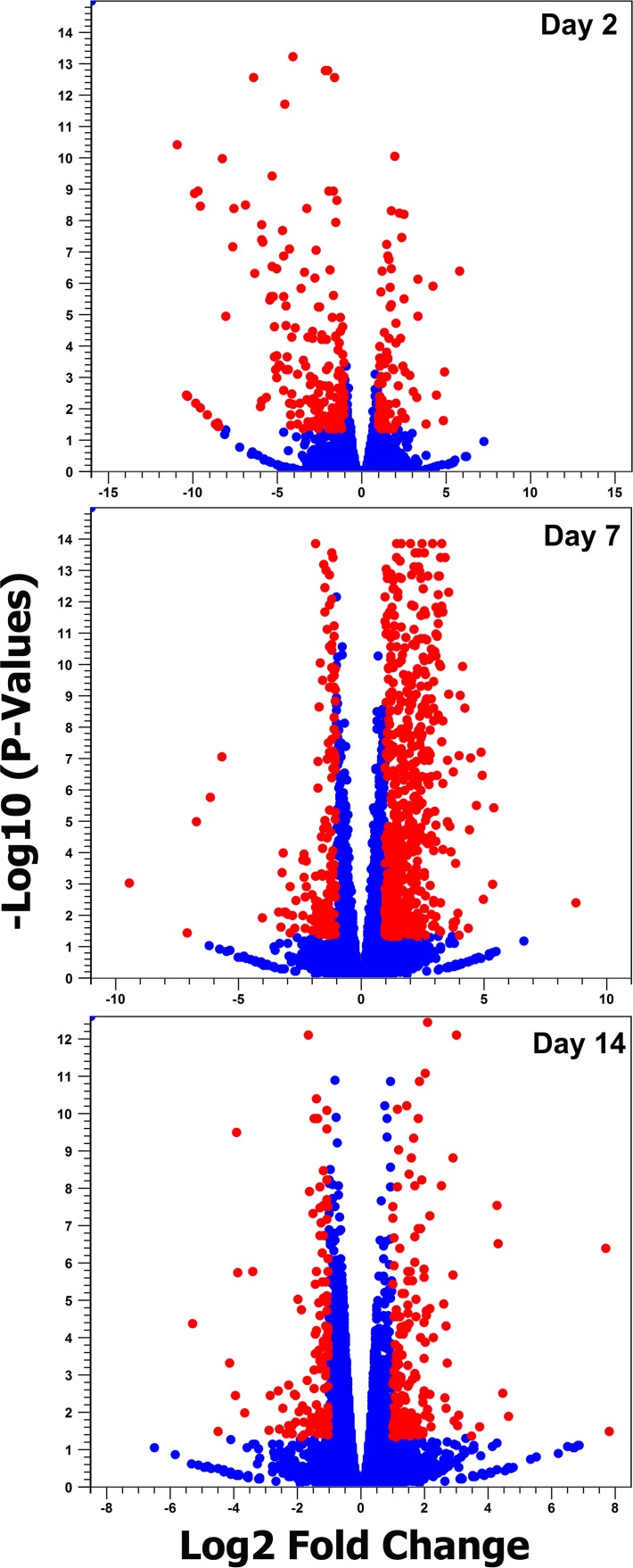 FIG 2 