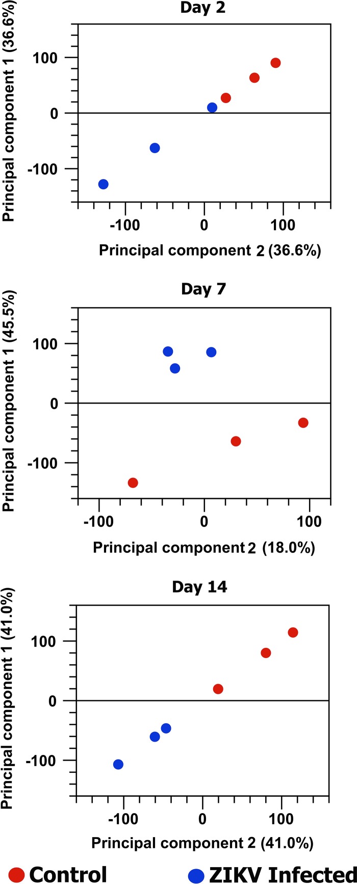 FIG 1 