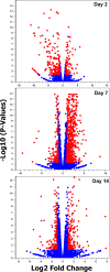 FIG 2