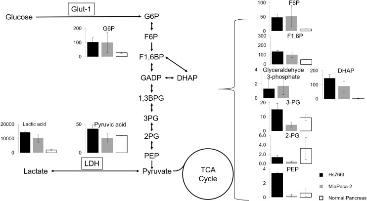 Figure 1—figure supplement 3.