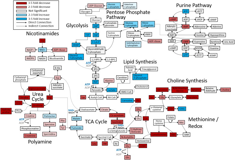 Figure 1—figure supplement 2.