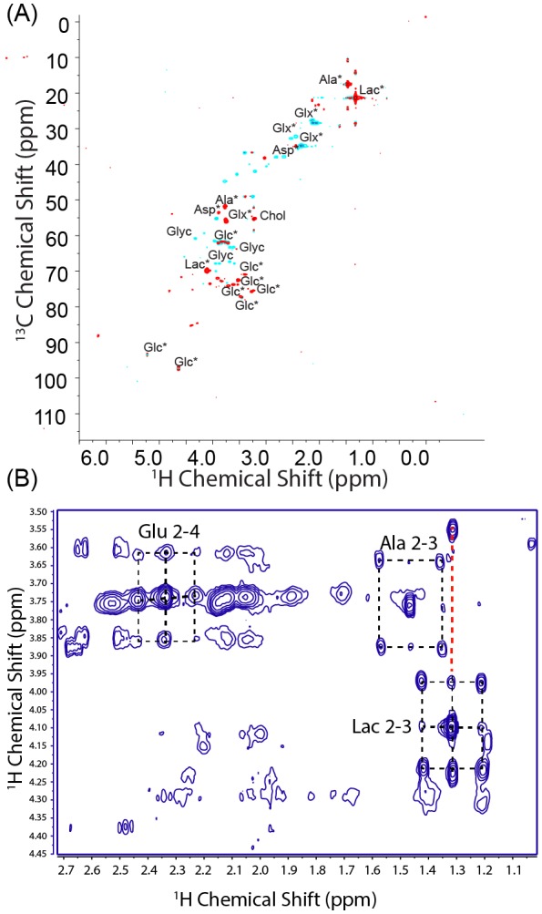 Figure 3—figure supplement 1.