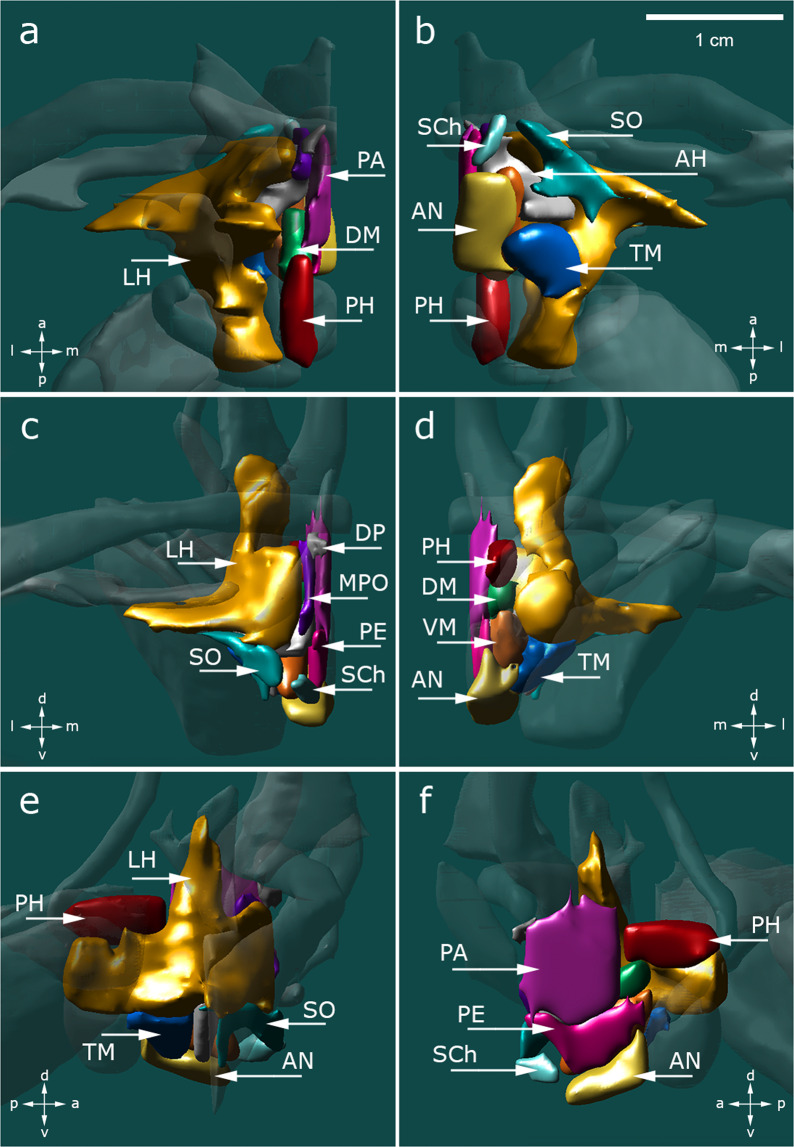 Fig. 4